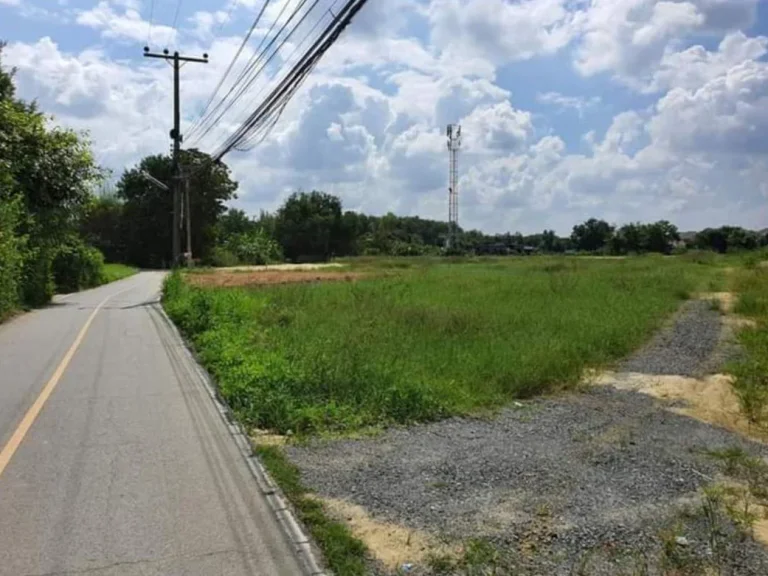 ขายที่ดินดอยสะเก็ต สันปูเลย ถนนคอนกรีต ราคาถูก