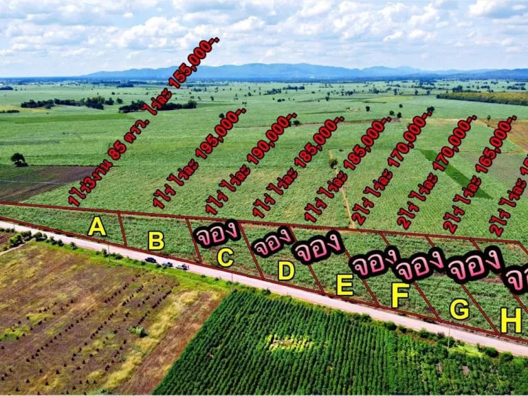 ที่ดินโฉนด เหลือแปลงเดียว ติดถนนดำ