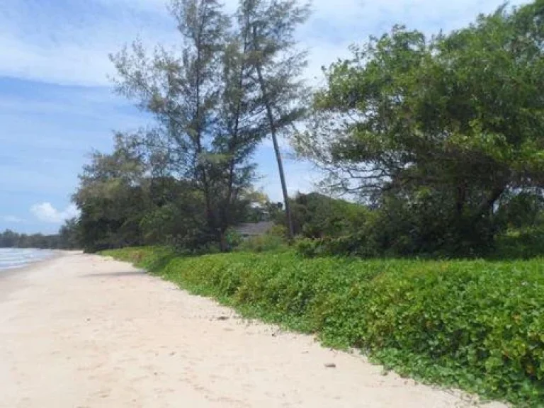  ขายที่ดินริมทะเล หาดแม่พิมพ์ 200 ตารางวา หาดสวย ทรายขาว