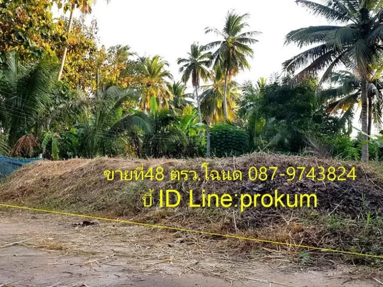 ขายที่ดินสวยๆ 48 ตรวติดถนนคอนกรีตเข้าออกได้ 2 ทาง