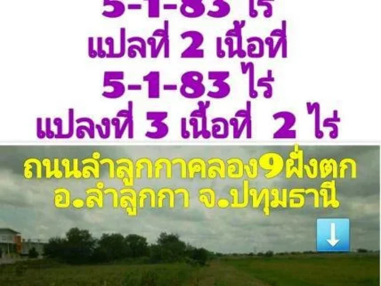 แบ่งขายที่ดิน พื้นที่สีม่วง 3แปลง ถลำลูกกาคลอง 9 ฝั่งตก อลำลูกกา จปทุมธานี