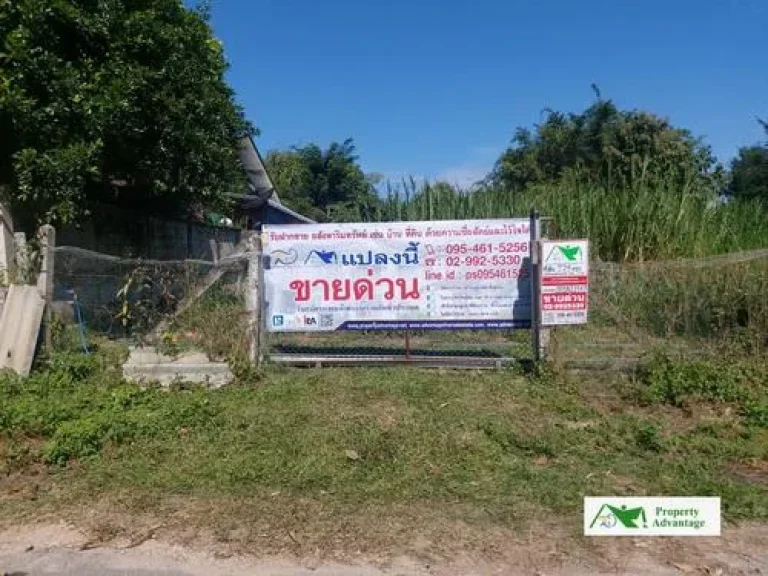 ขายที่ดิน 279 ตรว ตเจริญเมือง อพาน เชียงราย