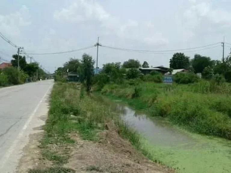 ขายด่วน ที่ดินทำเลทอง พระนครศรีอยุธยา