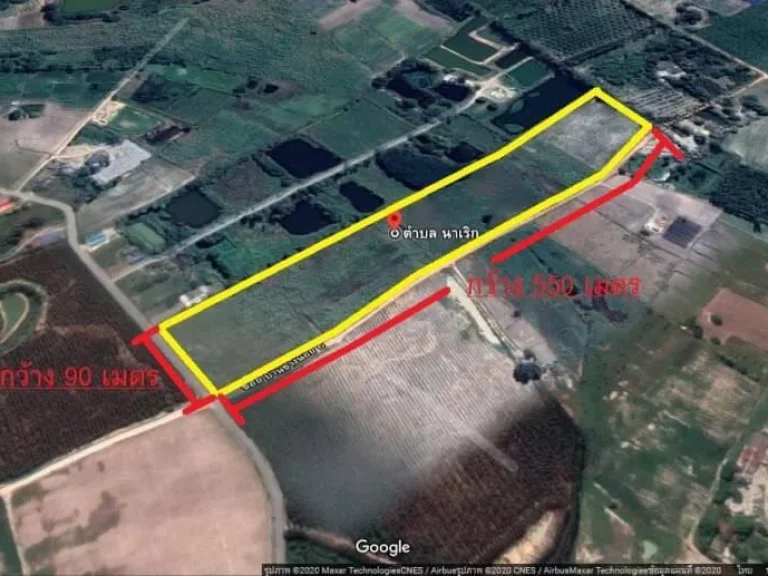 ขายที่ดิน 31-0-48ไร่ ตนาเริก อพนัสนิคม