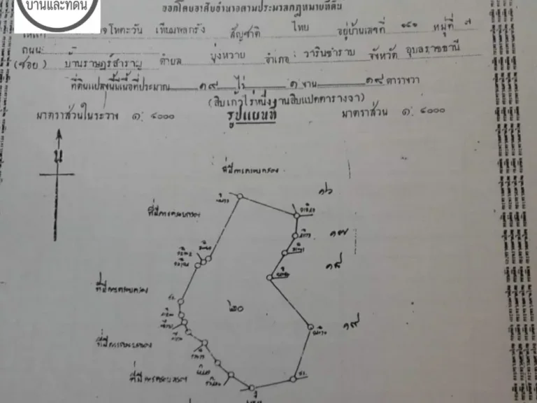 ขายที่ดินตรงข้ามริมธารโฮมสเตย์ 23 ไร่กว่า บ้านท่าลาดวารินฯ