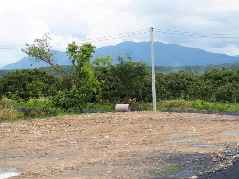 ขายที่ดินวิวดอย สันป่าตองน้ำบ่อหลวง ราคาถูก