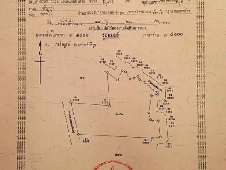 ขายด่วน ที่ดินแปลงใหญ่ ถูกสุดในย่านนี้ หัวหิน ประจวบคีรีขันธ์ เจ้าของขายเอง