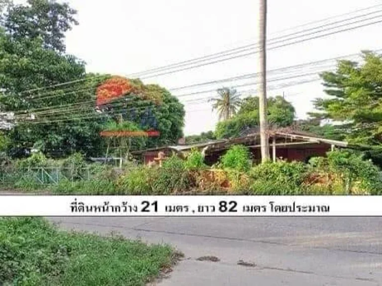 ขายที่ดิน1ไร่ แถมบ้านเดี่ยวชั้นเดียว อศรีราชา