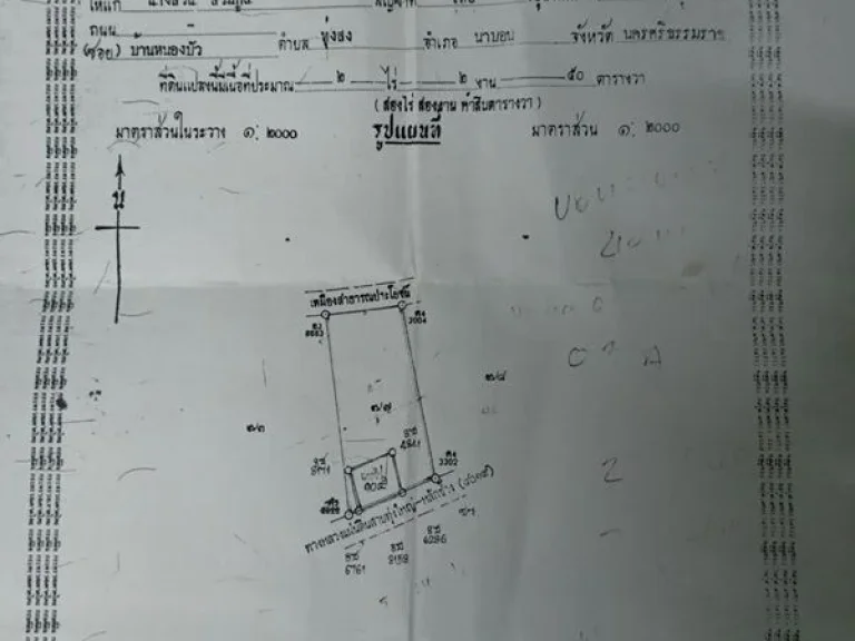 ขาย บ้านพร้อมที่ดิน นครศรีธรรมราช เนื้อที่ 2 ไร่ 987 ตรว ริมถนนสายหลักช้าง-ทุ่งใหญ่ ใกล้แยกหนองดี