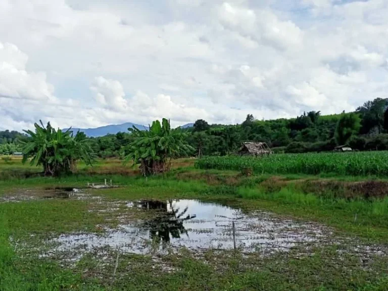 ขายที่ดินวิวดอย ถนนคอนกรีต หน้ากว้าง 200 เมตร