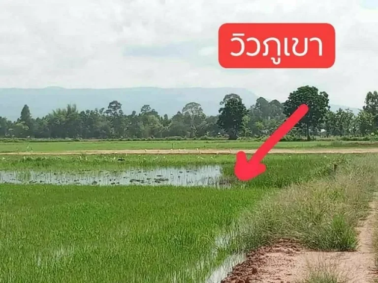 ขายที่ดิน1ไร่โฉนดครุฑแดง 400000 วิวเขา ห่าง ลำธารห้วงโสมง 200ม