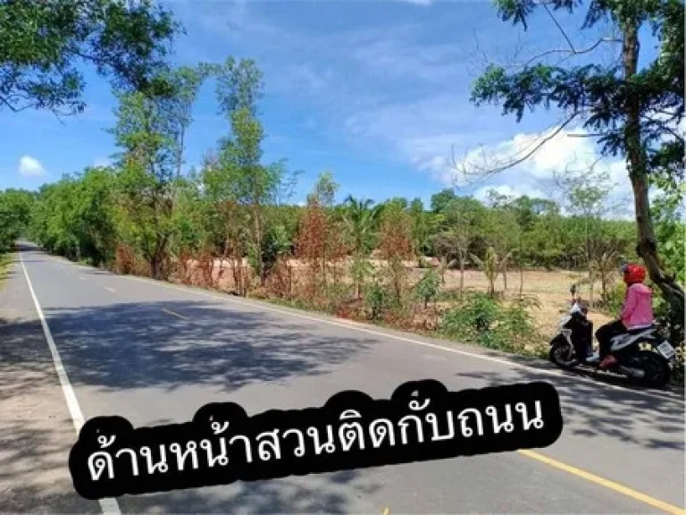 ขายที่ดินทำเลทองโฉนด 25ไร่ พื้นที่จริง 29 ไร่ อ บ้านกรวด จ บุรีรัมย์