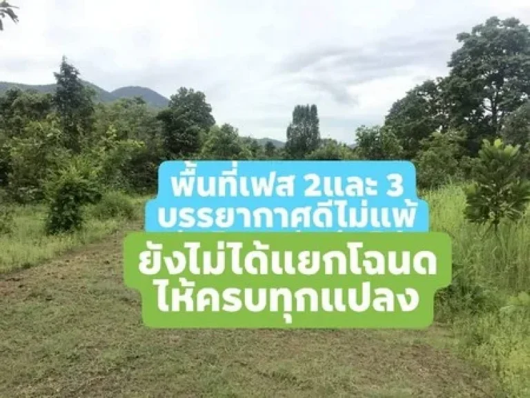 ขายด่วนโครงการบ้านเฟื่องฟ้าอิงดอยขนาด51ไร่วิวเขาอากาศดีจลำพูน