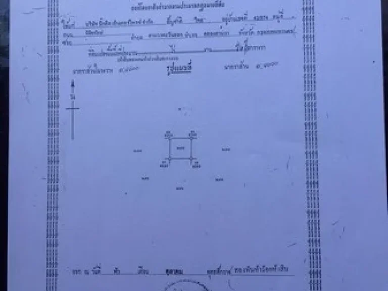 ขายด่วนโครงการบ้านเฟื่องฟ้าอิงดอยขนาด51ไร่วิวเขาอากาศดีจลำพูน