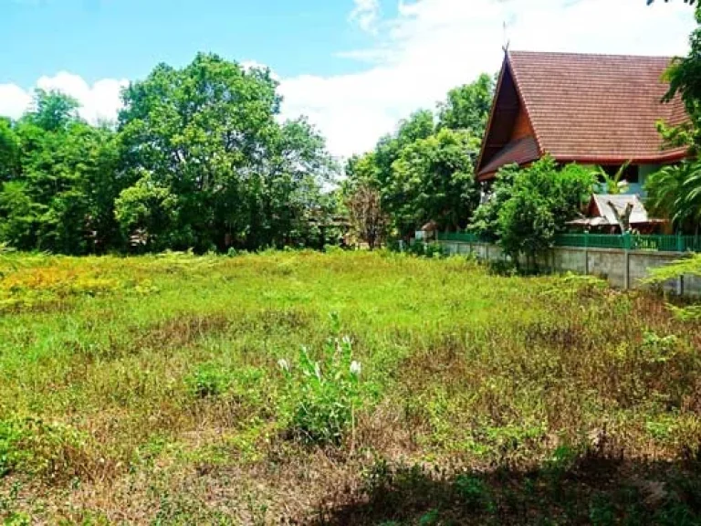 ขายที่ดิน บริเวณกาดฝรั่ง ตำบลบ้านแหวน อำเภอหางดง จังหวัดเชียงใหม่