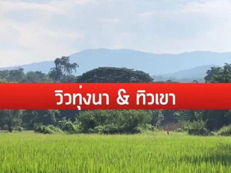 Land For Sale in Maerim Chiangmai ที่ดิน 2 แปลง แม่ริม เชียงใหม่