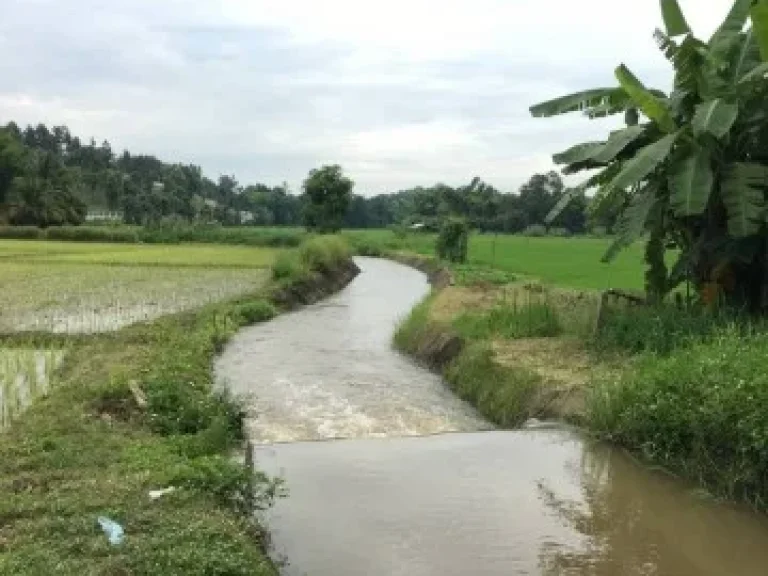 Land For Sale in Maerim Chiangmai ที่ดิน 2 แปลง แม่ริม เชียงใหม่