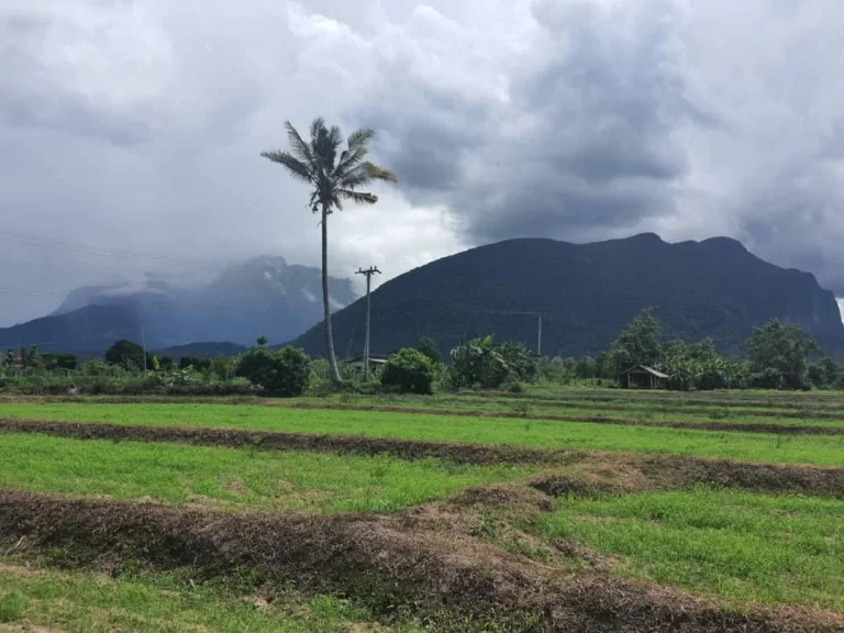 ขายที่วิวดอยหลวง วิวดอยนาง เชียงดาว เชียงใหม่