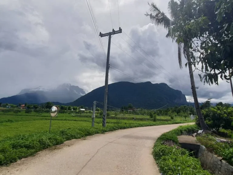 ขายที่วิวดอยหลวง วิวดอยนาง เชียงดาว เชียงใหม่