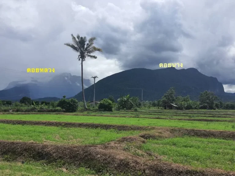 ขายที่วิวดอยหลวง วิวดอยนาง เชียงดาว เชียงใหม่