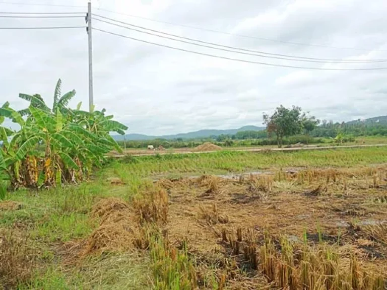 ขายที่ดิน ตำบลแม่แฝก อำเภอสันทราย จังหวัดเชียงใหม่ ติดถนนคอนกรีต