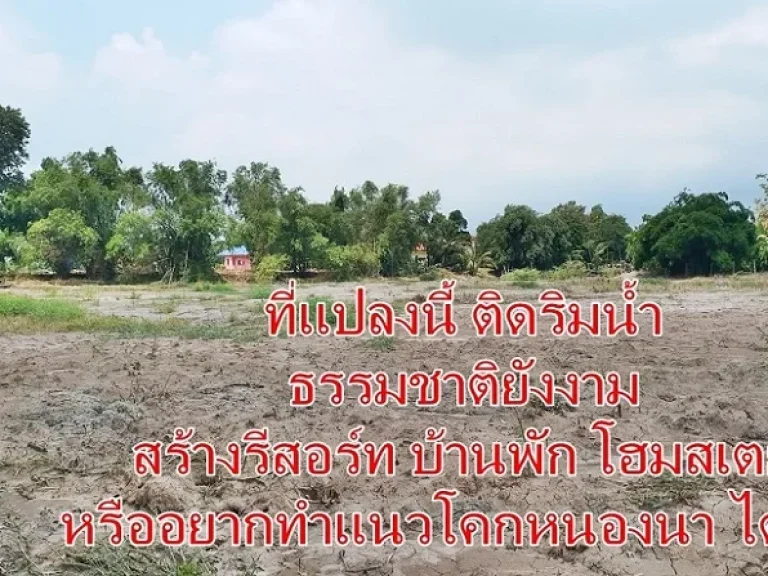 ที่ดินติดน้ำ วิวงามอากาศดี ที่คลอง 15 องครักษ์ พื้นที่ธรรมชาติของขวัญที่รอคุณ