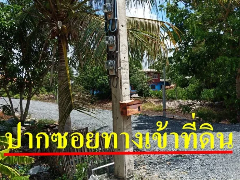 ขายที่ดิน 1 ไร่ 69 ตรว ตบางพลีน้อย อบางบ่อ จสมุทรปราการ