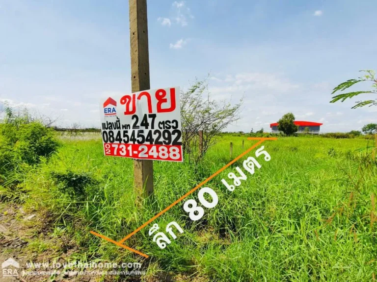 ขายที่ดินคลองสี่ตะวันตก ปทุมธานี เพียง7800บาทตรว ขายถูกที่สุดในคลองสี่