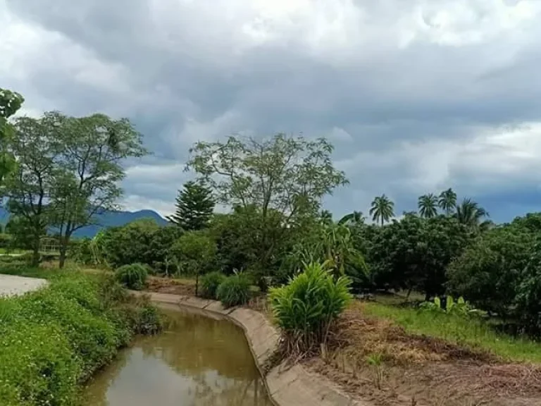 ขายที่นา แม่วาง บ้านกาด ติดคลองชลประทาน ราคาถูก