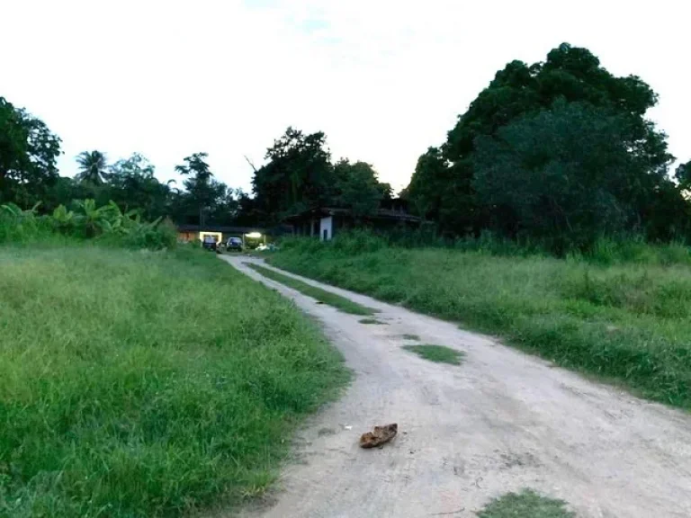 ขายที่ดิน บ้านฉาง ระยอง 4ไร่ 40 ตรว ถนนสุขุมวิท ใกล้สนามบินอู่ตะเภา 5 นาที