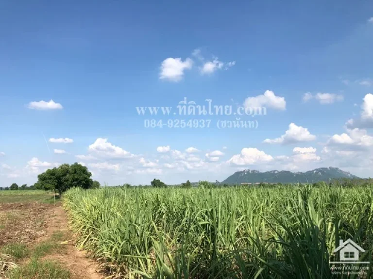 ขายที่ดินชัยบาดาล-ขายที่ดินหนองยายโต๊ะ-ขายที่ดินลพบุรี 64ไร่ 2งาน 70ตรว ตหนองยายโต๊ะ อชัยบาดาล จลพบุรี รหัส L368