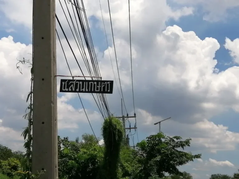 ขายด่วน ที่ดิน 2 ไร่ อหนองแค