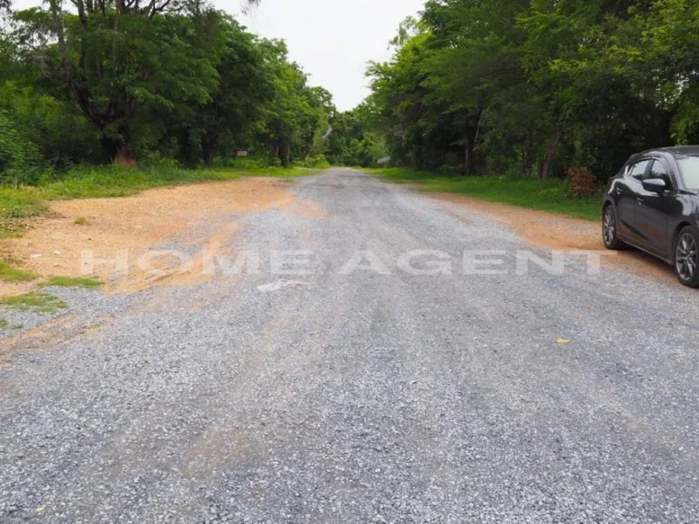 ที่ดินเปล่า 100 ตรว ที่ดินจัดสรร ตหนองปลาไหล เมืองสระบุรี