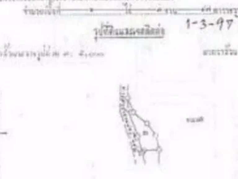 ขายที่ดินบนเกาะช้าง 8-1-44 ไร่ ติดทะเลส่วนตัวกว้าง 150 ม ยังมีที่ว่างด้านหลังอีก 30 กว่าไร่