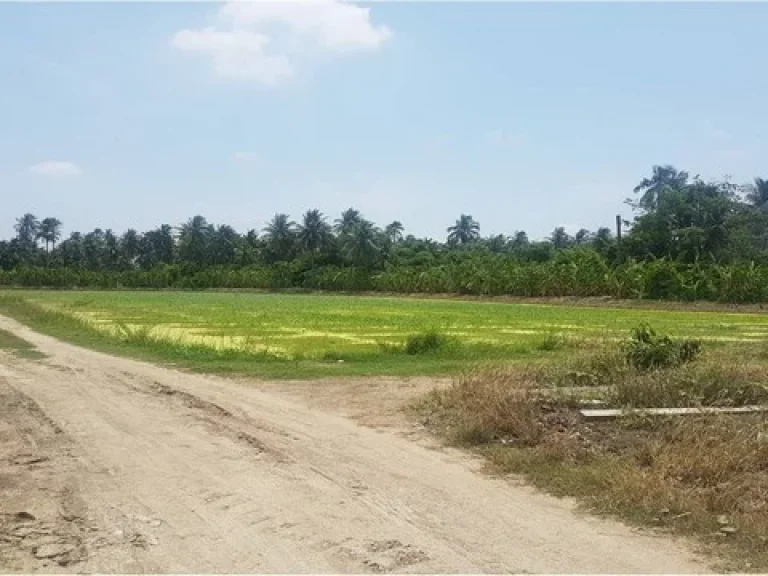 ขายที่ดินพร้อมสิ่งปลูกสร้าง ตำบลหอมเกร็ด อำเภอสามพรานตลาดใหม่ จังหวัดนครปฐม