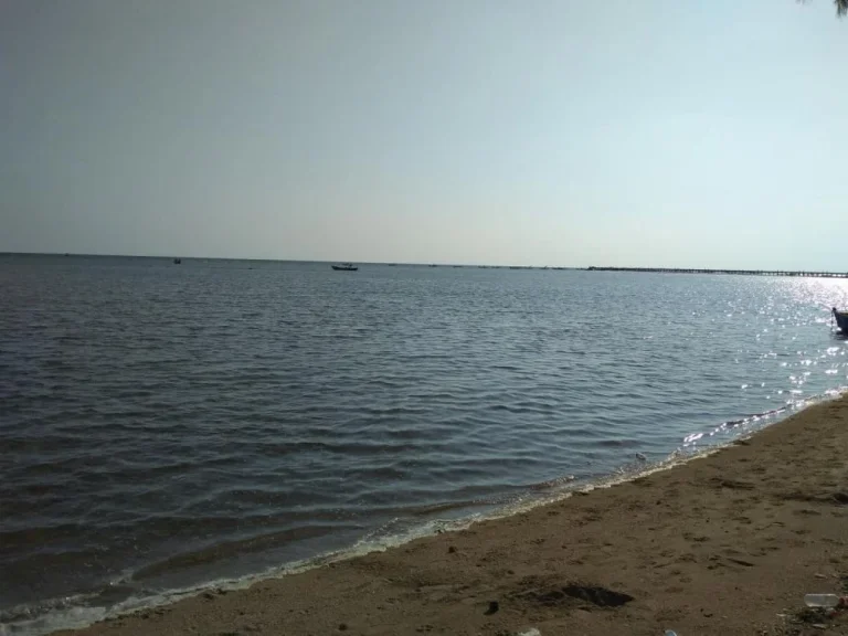 ขายที่ดินติดทะเลหาดเจ้าหลาว หาดส่วนตัว