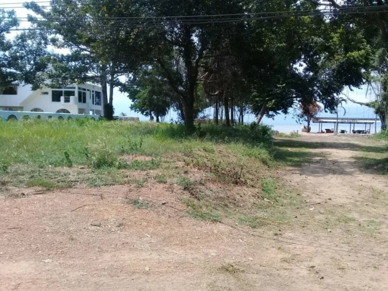 ขายที่ดินติดทะเลหาดเจ้าหลาว หาดส่วนตัว