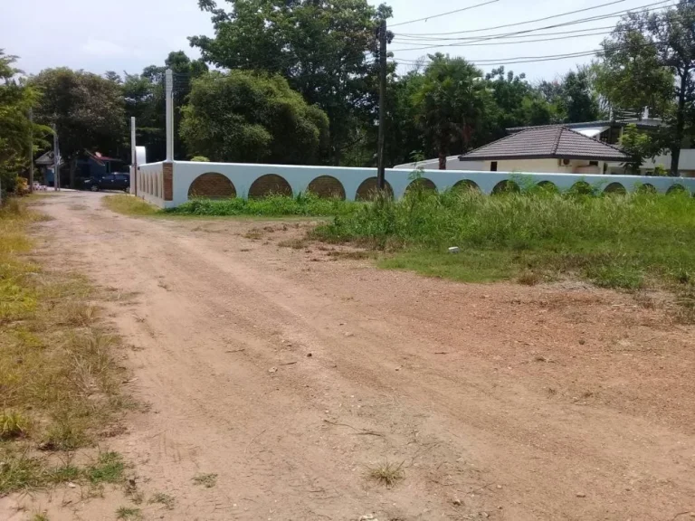 ขายที่ดินติดทะเลหาดเจ้าหลาว หาดส่วนตัว