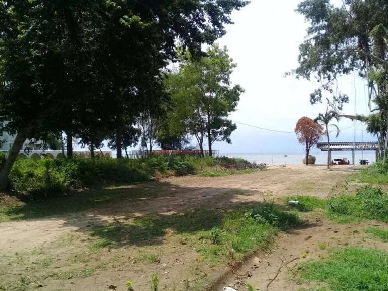 ขายที่ดินติดทะเลหาดเจ้าหลาว หาดส่วนตัว