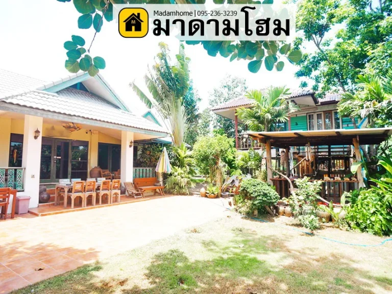 บ้านเดี่ยวอยุธยา หลังใหญ่ ในเกาะเมือง ราคาเกินคุ้ม พื้นที่เกือบไร่ โฉนดครุฑแดง ขายบ้านอยุธยา มาดามโฮม