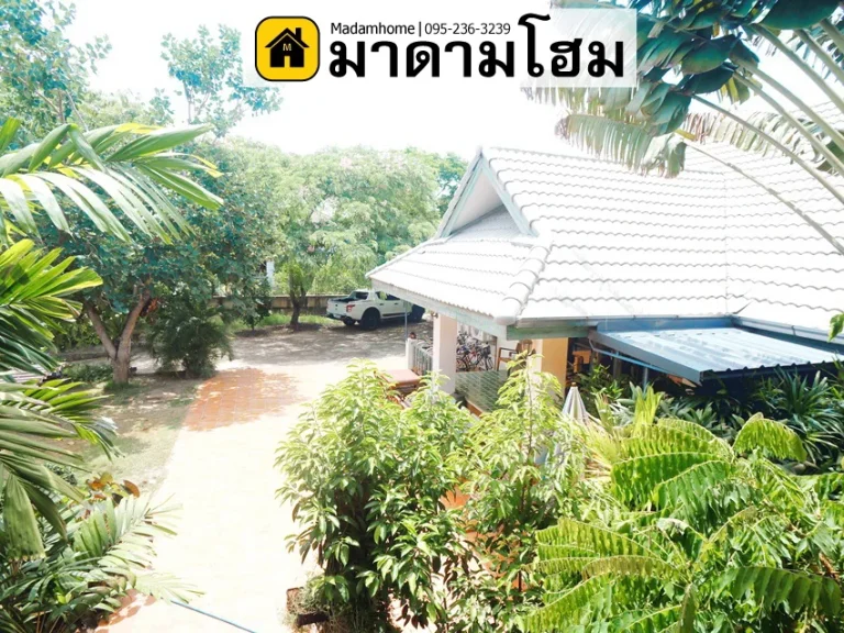 บ้านเดี่ยวอยุธยา หลังใหญ่ ในเกาะเมือง ราคาเกินคุ้ม พื้นที่เกือบไร่ โฉนดครุฑแดง ขายบ้านอยุธยา มาดามโฮม