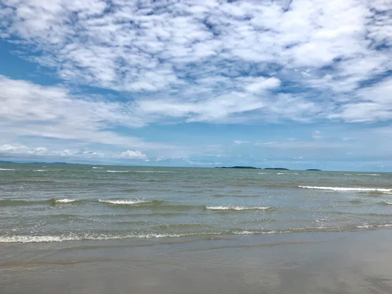 ขายที่ดินติดทะเล หาดส่วนตัว ไม่มีถนนคั่น โฉนด 4 ไร่ บรรยากาศดี