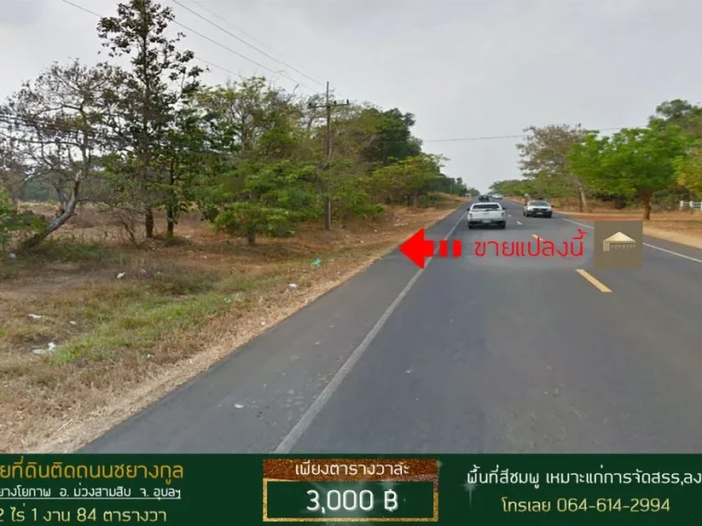 ขายที่ดิน 12 ไร่ ติดถนนชยางกูล ยางโยภาพ ม่วงสาบสิบ อุบลราชธานี