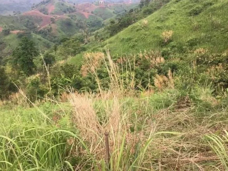 ที่ดินใกล้แหล่งท่องเที่ยว ทำเลดี ตทุ่งสมอ อเขาค้อ จเพชรบูรณ์