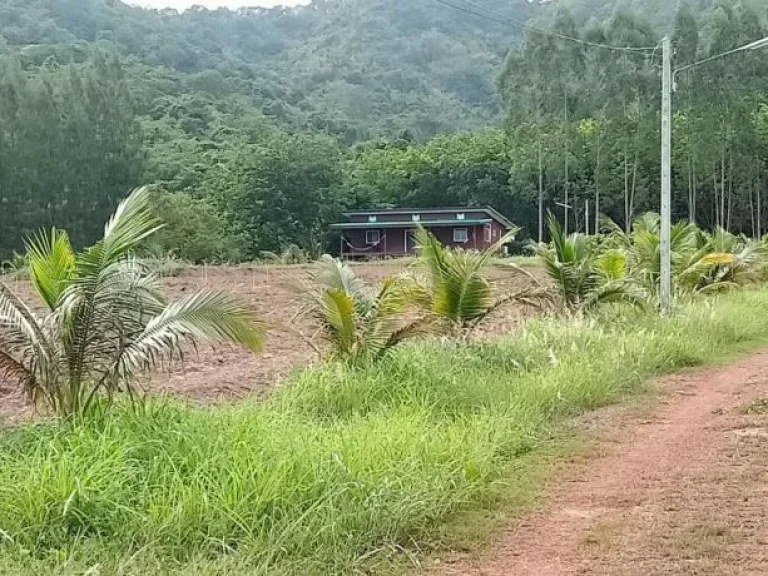 ขายที่ดินพร้อมบ้านเดี่ยว อท่าตะเกียบ ฉะเชิงเทรา ภทบ5 สามารถออกเอกสาร สปก ได้ ใกล้ถนนสายฉะเชิงเทรา-คลองหาด 3259 พื้นที่10ไร่ ขาย55ล้าน