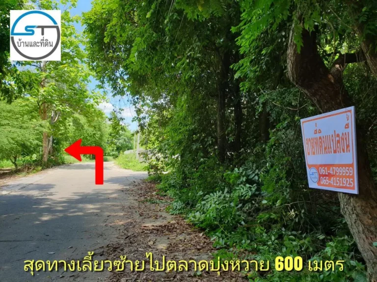 ขายที่ดิน 1-2-46 ไร่ ใกล้อนามัย 500 เมตร