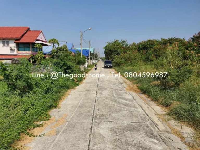 ขายด่วนที่ดินแปลงสวย ซอยเปียร์นนท์ ถนนลำลูกกา คลองสาม ปทุมธานี