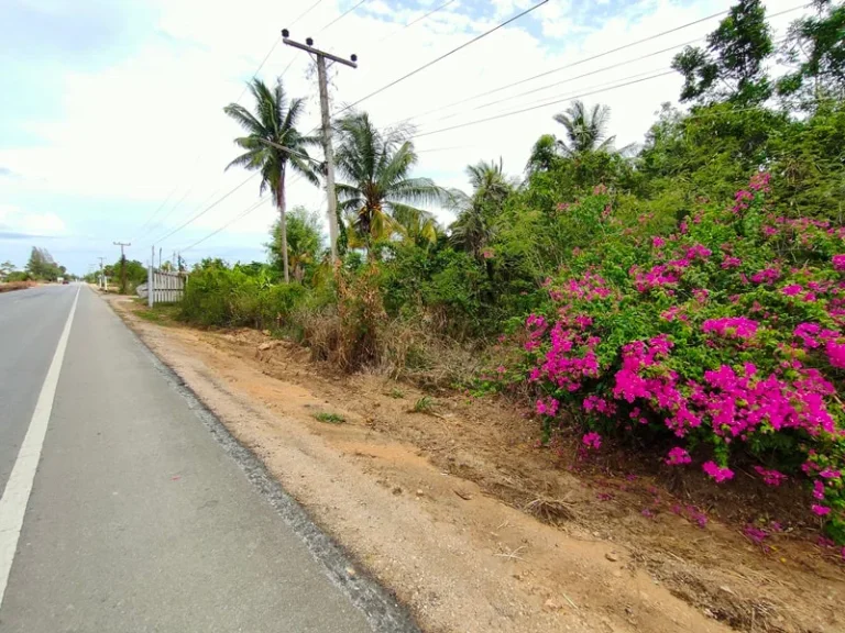 ต้องการขายที่ดิน 5 ไร่ หัวหิน