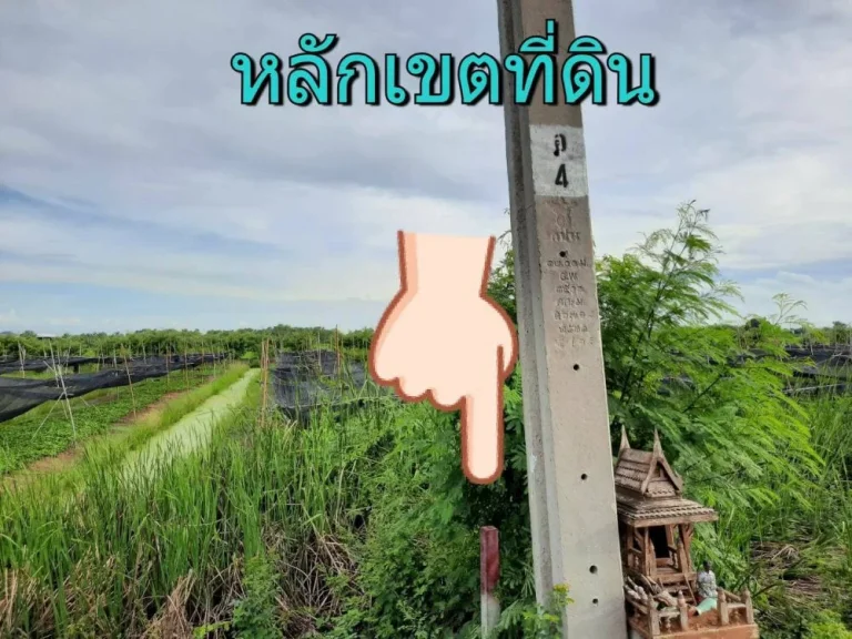 ขายที่ดินถนนบางบัวทอง-สุพรรณบุรี 2 ไร่ 68 ตารางวา ตำบลไทรใหญ่ อำเภอไทรน้อย จังหวัดนนทบุรี