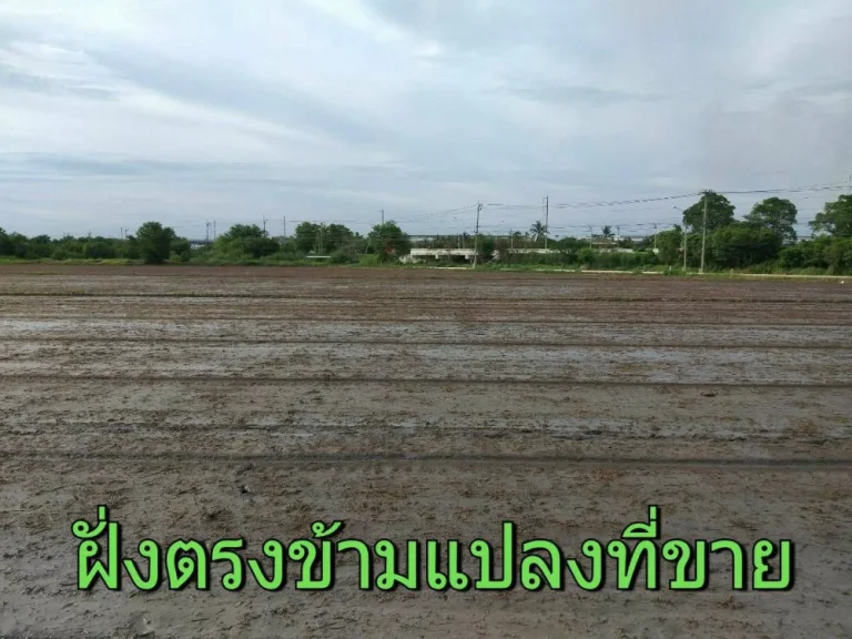 ขายที่ดินถนนบางบัวทอง-สุพรรณบุรี 2 ไร่ 68 ตารางวา ตำบลไทรใหญ่ อำเภอไทรน้อย จังหวัดนนทบุรี